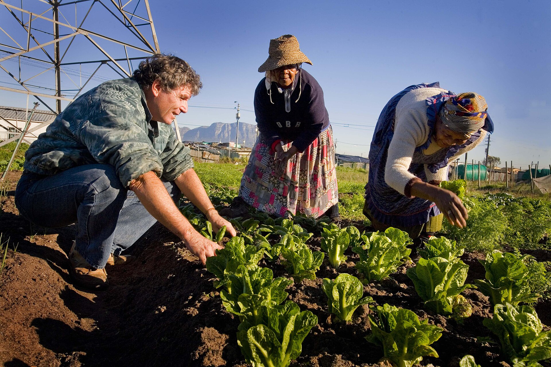 Women learning farming techniques in a Cape Town food garden